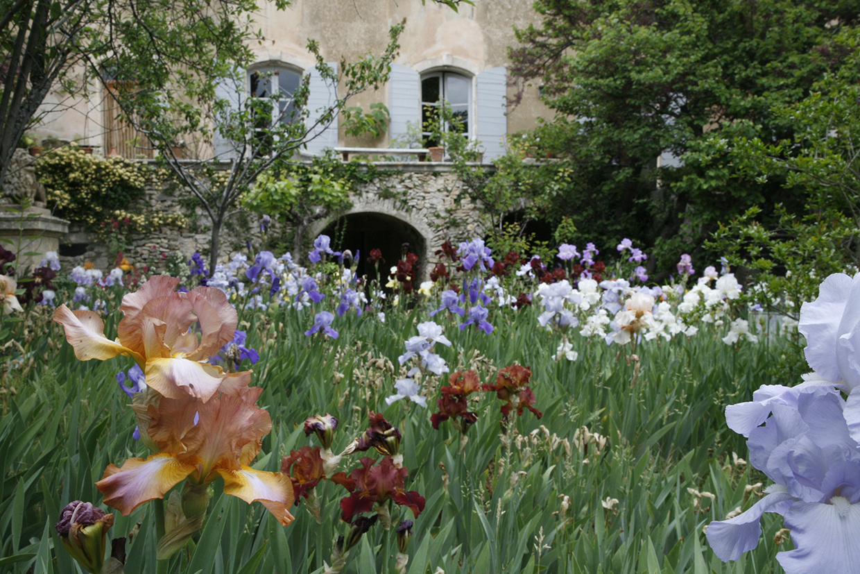 La Gonette | 'The Sleeping Princess' by Michael Trapp