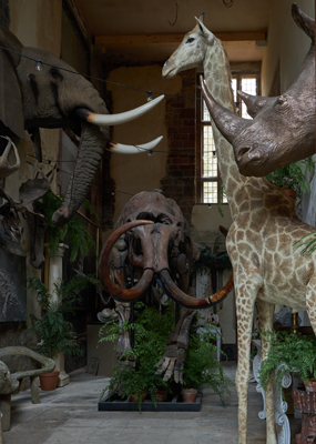 Auction Now Live! Image