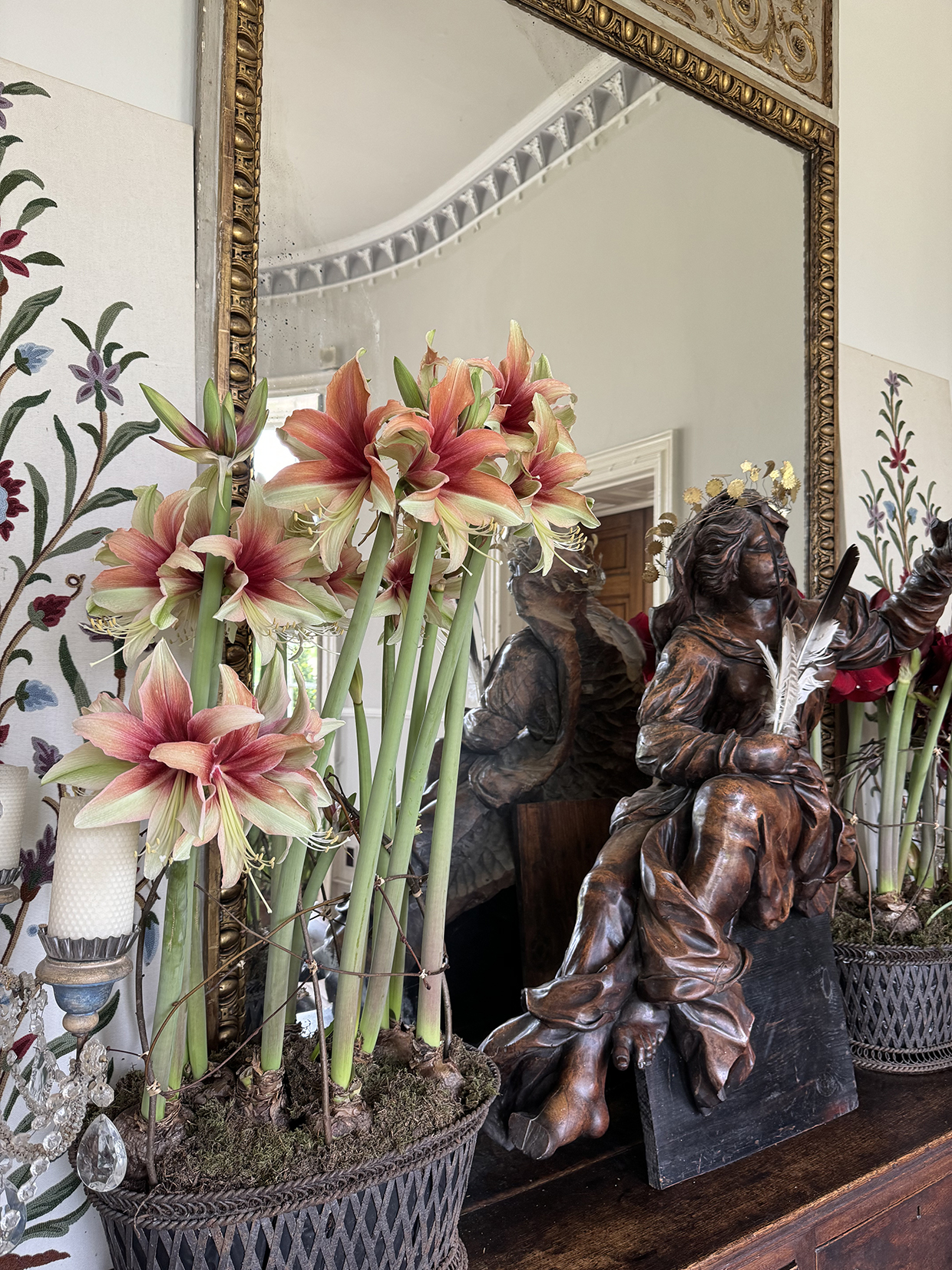 Inline Image - Image courtesy of Sophie Conran